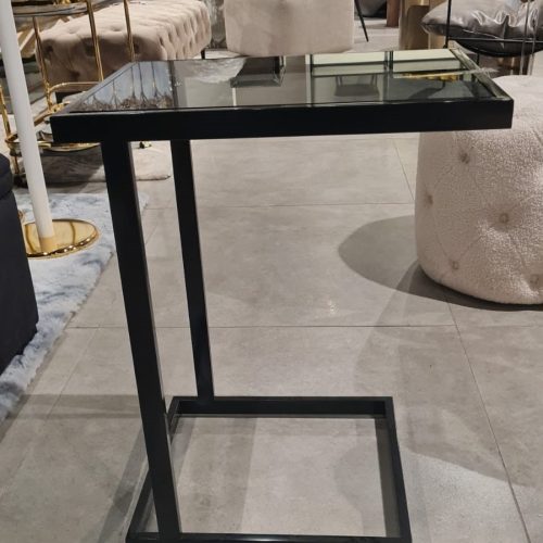 נשכן שחור זכוכית